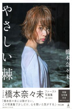 喜羊羊与灰太狼之异国大营救